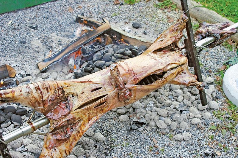 Österliche Opferlämmer