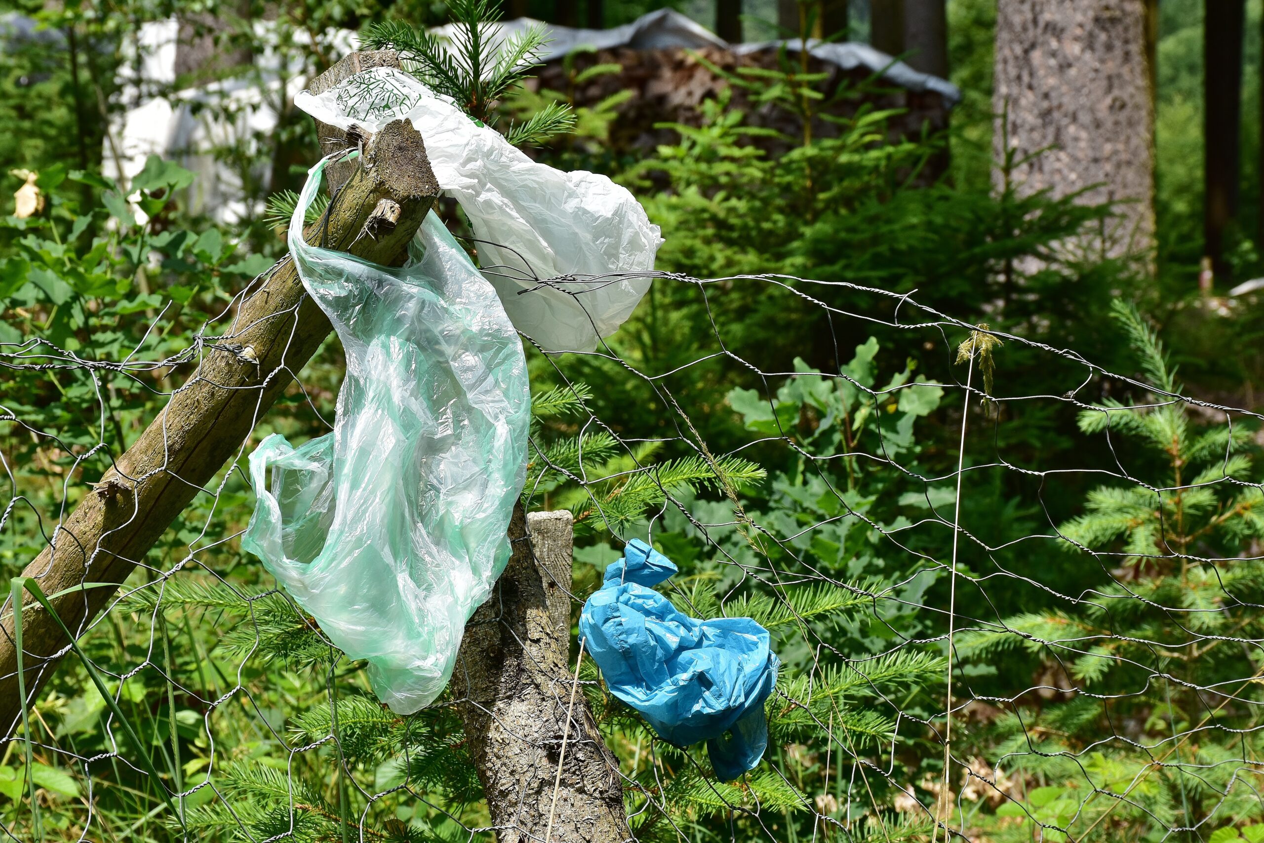 Problem Plastik: „Müssen über unseren Tellerrand schauen”