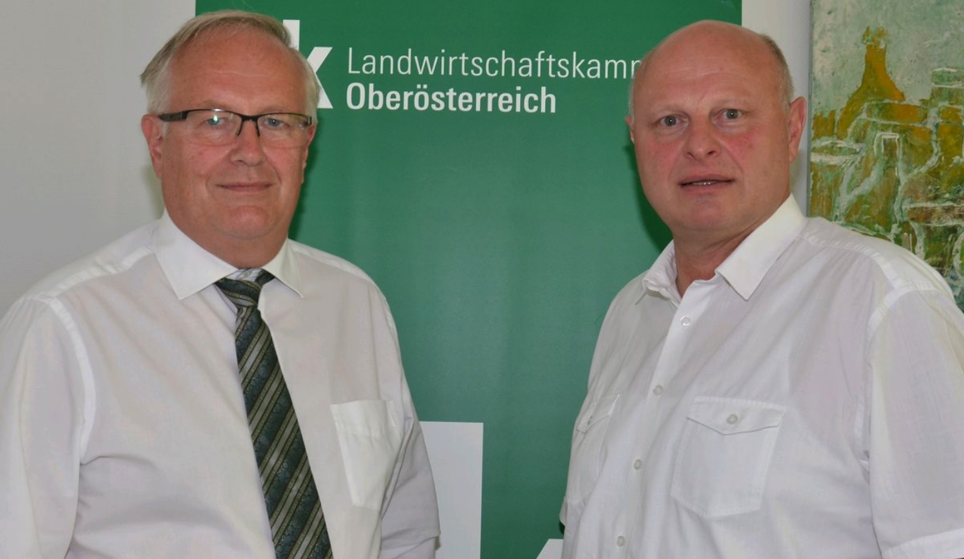 Schweine: Erfreuliches aus sonst gebeutelter Sparte