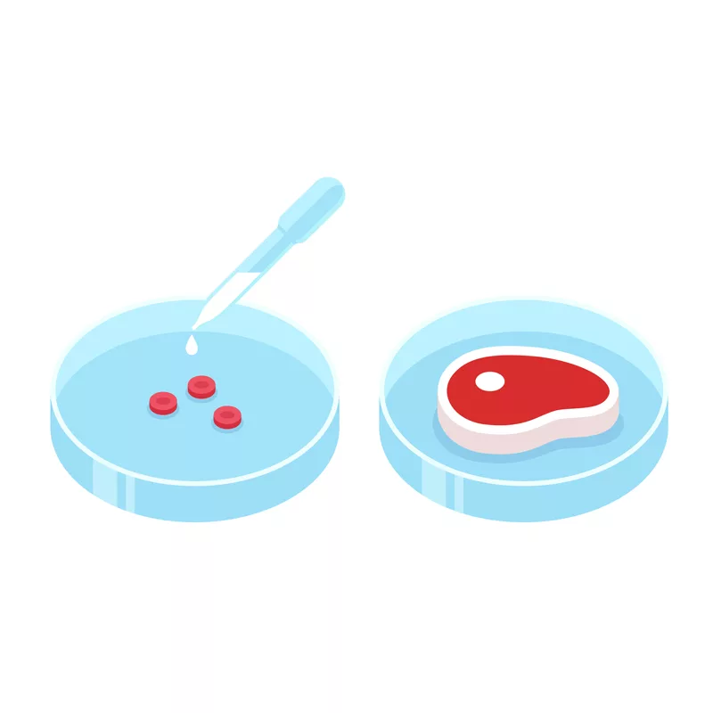 Wiesenhof investiert in In-Vitro-Fleisch