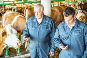 Landwirt Willi Pöchhacker in Reinsberg im Mostviertell setzt auf Viehworld