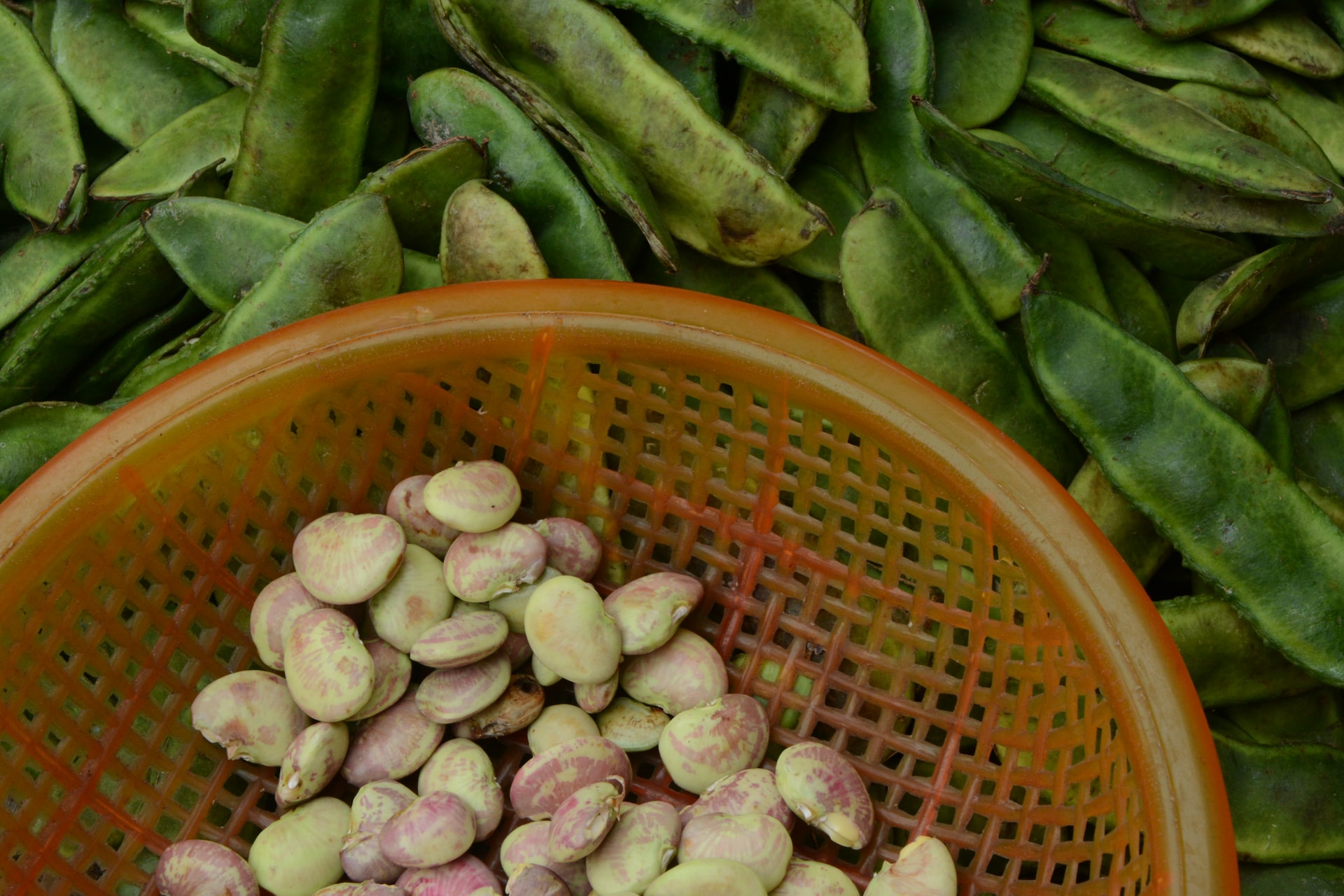 JA ZU NAH erweitert regionales Produktsortiment für Großküchen: Super-Foods, Geflügel und mehr