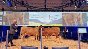Fleckvieh Austria-GF Reinhard Pfleger präsentiert gemeinsam mit GENOSTAR-GF Peter Stückler die WINTERTRAUM-Nachzucht am TopTierTreff der EUROTIER. © RZA/Kalcher