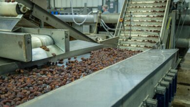 Digitale und physische Sicherheit in der Lieferkette: Smarte Technologien, Blockchain und Überwachungssysteme schützen Transport und Logistik.(Bild: Pexels)