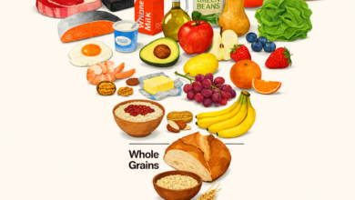 Die neue US-Ernährungspyramide stellt hochwertiges Protein, Milchprodukte und gesunde Fette wieder an die Spitze. Ultra-verarbeitete Lebensmittel rücken in den Hintergrund – „echtes Essen“ steht im Fokus der neuen Ernährungsrichtlinien 2025–2030. Bildcredit: © KI-Illustration / ChatGPT (DALL·E), nach US-Ernährungsempfehlungen 2025–2030